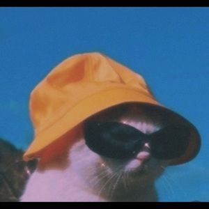 Meet your Posher, Rya